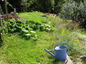 Le jardin en été