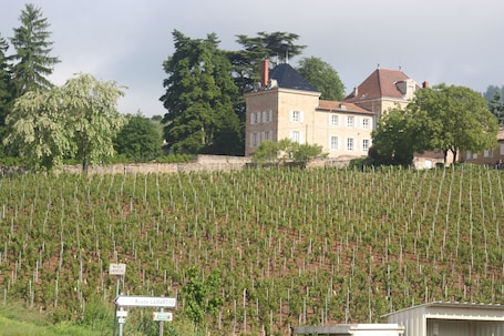 Maison vue de l'arrivée