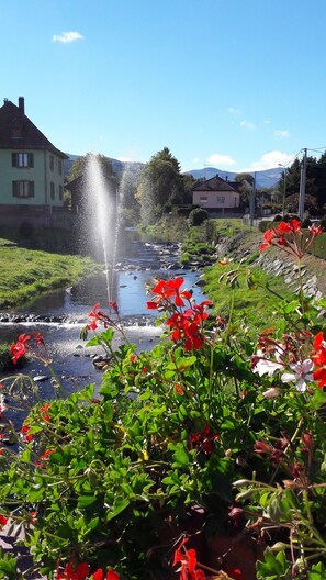 Rivière à côté de la maison