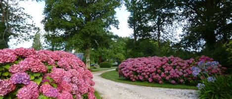 Jardines del alojamiento