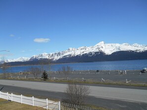 view