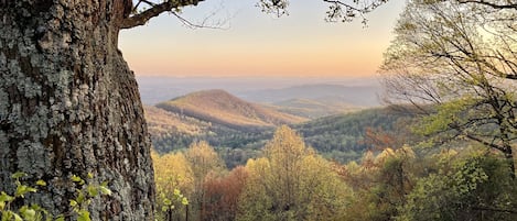 View from the rooftop in the Fall
