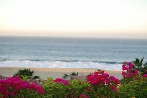 Bougainvilla fill the hillside down to the ocean.