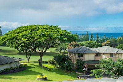 Picture of villa