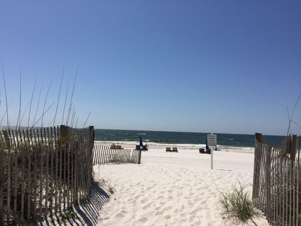 Our sugar sand walkway to the Gulf of Mexico!!