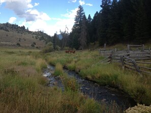 the creek that runs by creek cabin down through horse pasture