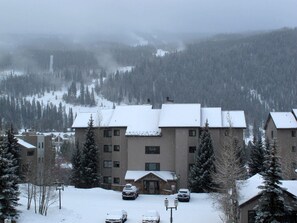 Cinnamon Ridge--walk to the lifts, 7 restaurants, 3 night spots, & sports cafe.