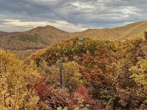 The fall colors are dazzling from our deck!