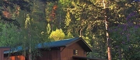 Ulkopuoli