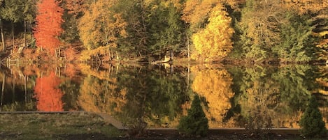 Fall colors over Spring Lake - 10/24/20