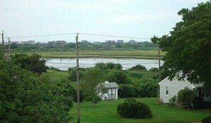 View of salt pond