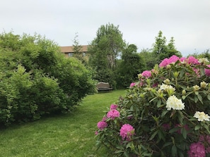 Private back yard with mature gardens