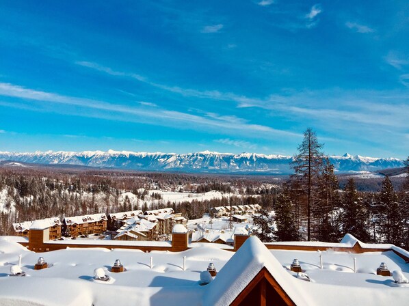 View from the back deck with Hot Tub