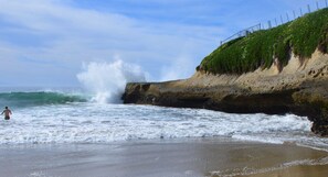 Sunny Cove beach just 100 yard walk from our front door.  