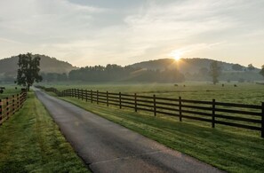 View of sunset and cattle pasture