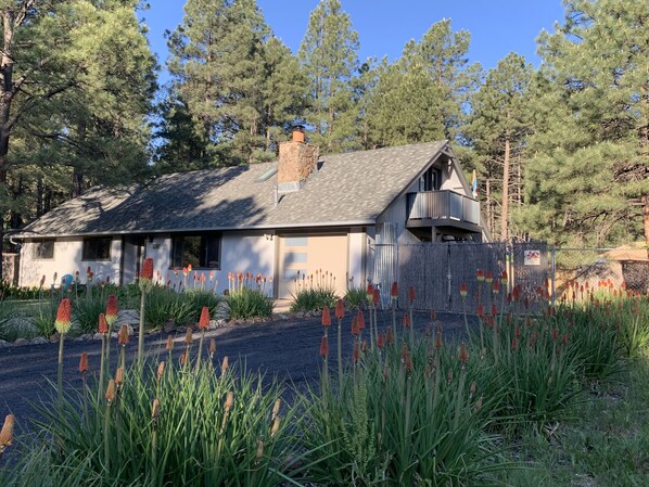 Large, off street driveway for guests.