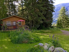 Cozy mountain view cottage is just a 10 minute walk to the lake