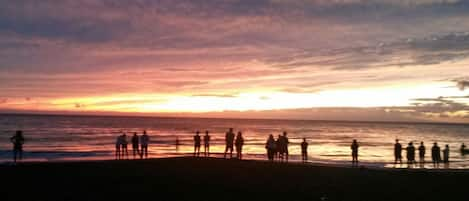 Join other visitors on our beach to enjoy spectacular sunsets nearly every night