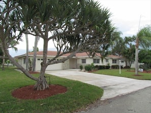 Front of the house 