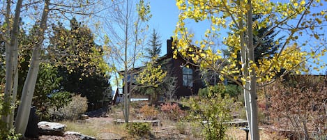 Aspen view - garden oasis