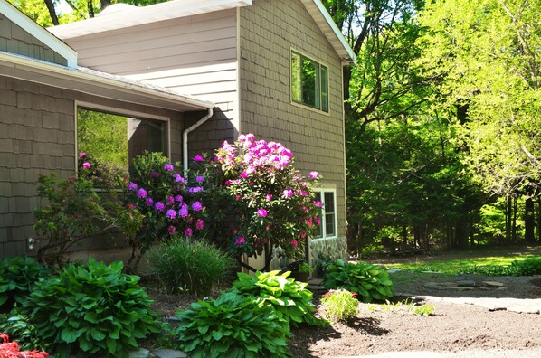 Lovely 2-floor apartment overlooking the creek.