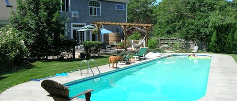 The private back yard is dominated by a dramatic 60 ft. oblong swimming pool