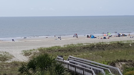 Playa