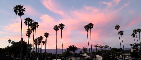 Sunsets are amazingly beautiful. Check them out from the back deck.