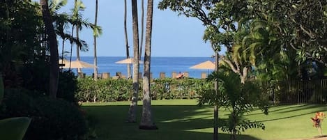 Ocean view from our patio. We are just steps to the oceanfront pool and beach.