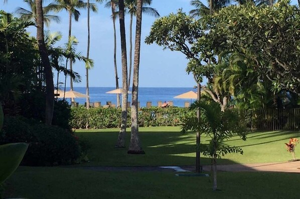 Ocean view from our patio. We are just steps to the oceanfront pool and beach.