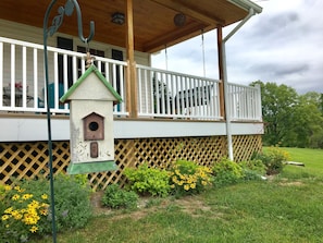 Yes, there was a birds nest in here this summer!