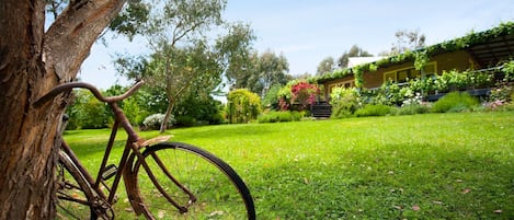 Jardines del alojamiento