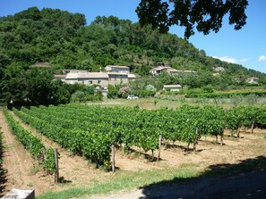 Le hameau du Plot à Ribes