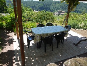 Terrasse couverte kiwi dans le jardin, avec une belle vue