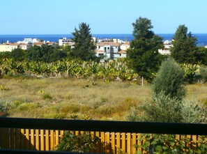 Balcony Sea View