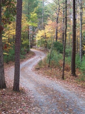 Entering your secluded hideaway at Five Ridge Bluff