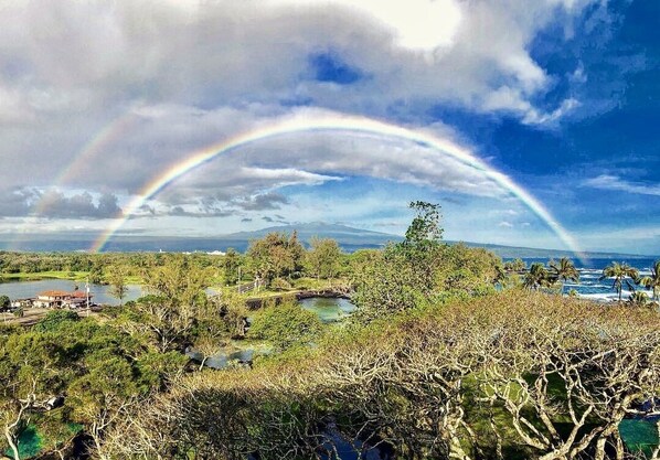 Magical Views from Every Room!