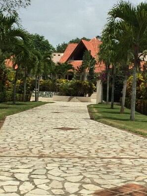 Driveway