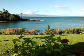 Napili Point A16-A Piece of Paradise-Turtles Just a Few Steps Away!