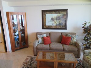 Living room with sleeper sofa