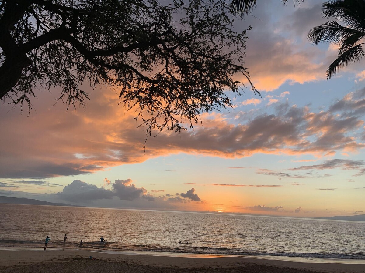 True Blue Beachfront, Spectacular Views, Spectacular Experience, South Maui rental