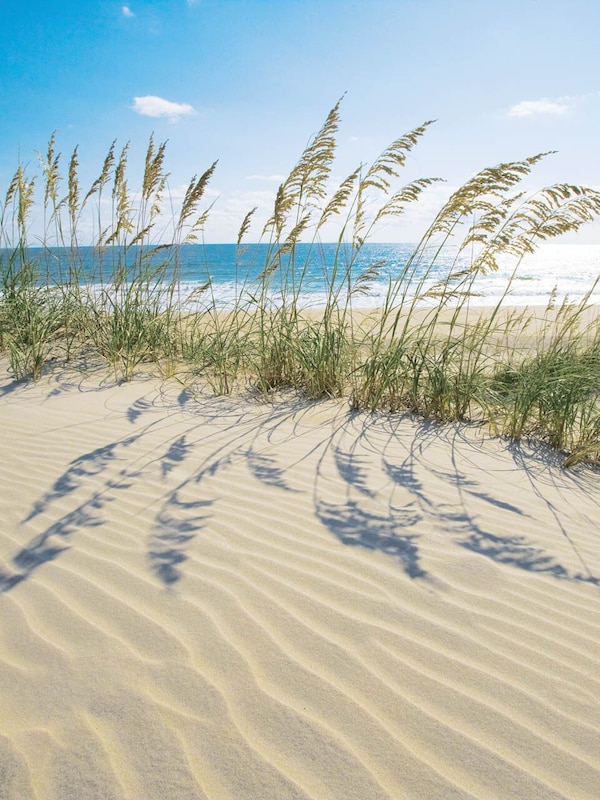 Surf or Sound Realty - Avon - Scenic Photos -1