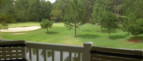 View of 3rd Green/Hole from Private Rear Screened Porch