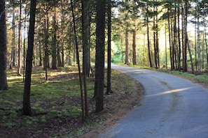 Our entry drive