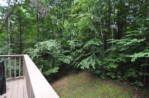 Views from the private deck out to the wooded lot.