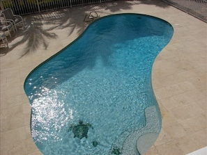  saltwater generatated pool , no nasty chlorine! lots of pool toys