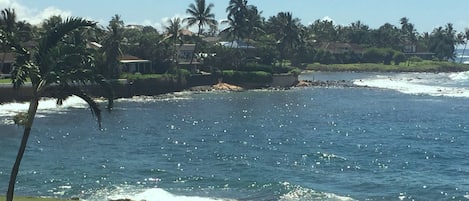 View from lanai: Swim and snorkle in beautiful cove adjacent to Kuhio Shores.