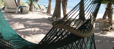 Tres Delfines -- You may never get out of your hammock!