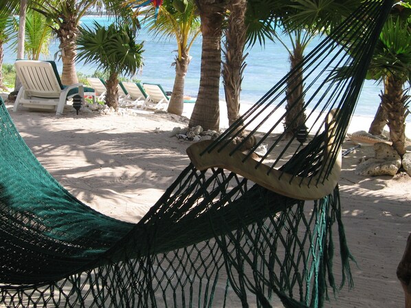 Tres Delfines -- You may never get out of your hammock!