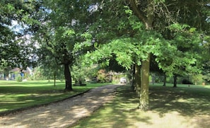 Garden, Park